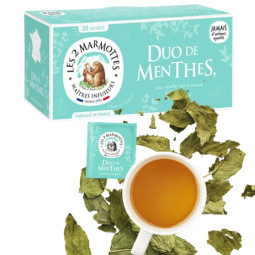 Infusion duo de menthes -...