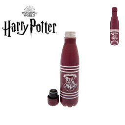 Bouteille inox 50 cl -...