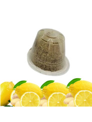 Infusion-citron-gingembre