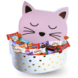 Grande boite chat garnie de...