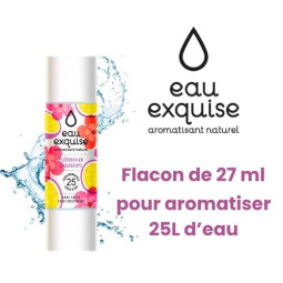 Hibiscus passion 27ml - eau...