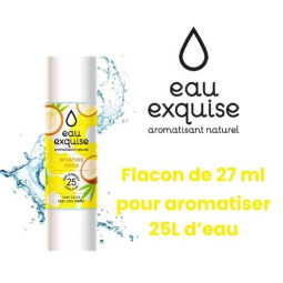 Ananas coco 27ml - eau...