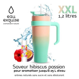 Mug isotherme bicolore vert...