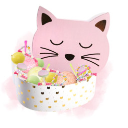 Grande boite chat garnie de...