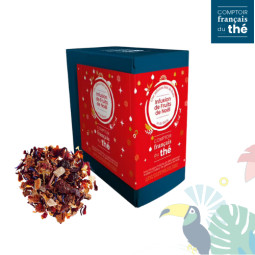 Infusion Fruit de Noël-20...